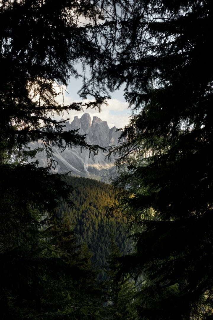 Plose Mountain View near Hotel Forestis